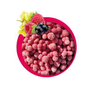 Zmrzlina s príchuťou TUTTI FRUTTI 70g